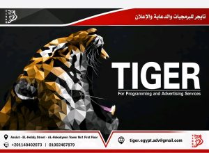 تايجر (البرمجة والدعاية والإعلان)
